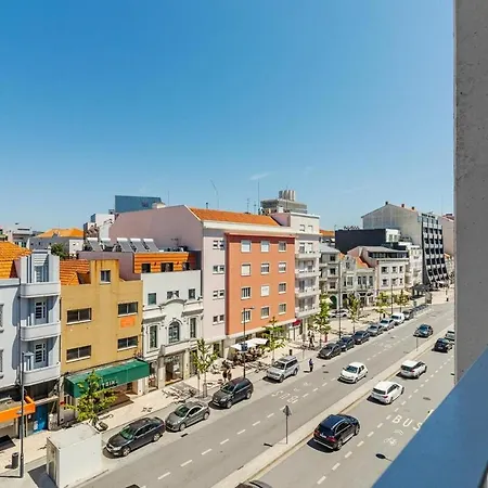 Timeless - Avenida