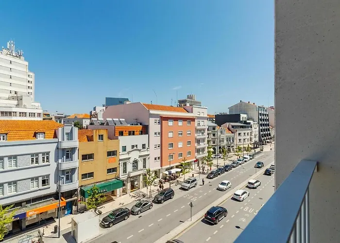 Timeless - Avenida